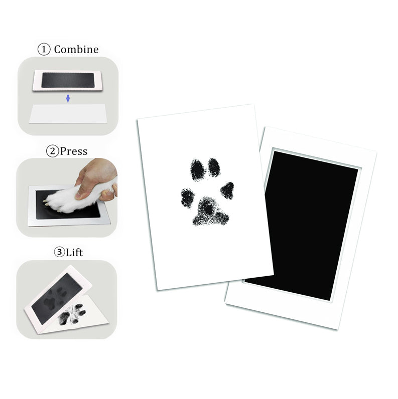Paw Print Kit & Keychain